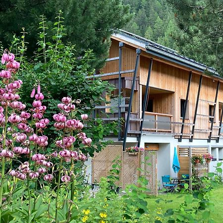 Chalet Walser A Vallorcine 13 Kms Chamonix France エクステリア 写真