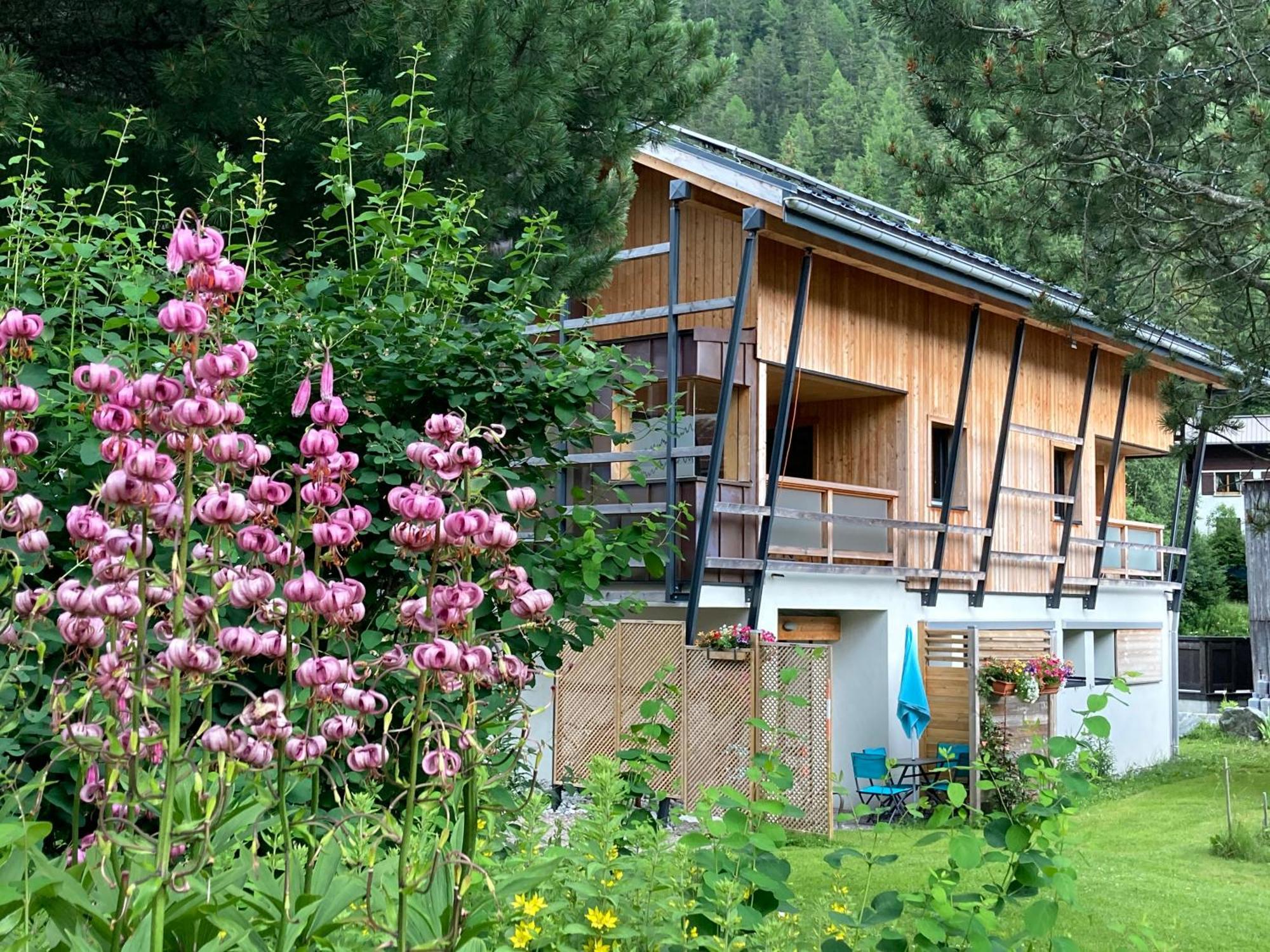 Chalet Walser A Vallorcine 13 Kms Chamonix France エクステリア 写真