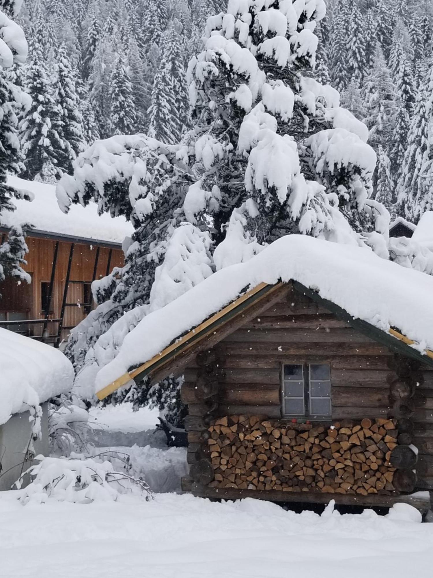 Chalet Walser A Vallorcine 13 Kms Chamonix France エクステリア 写真