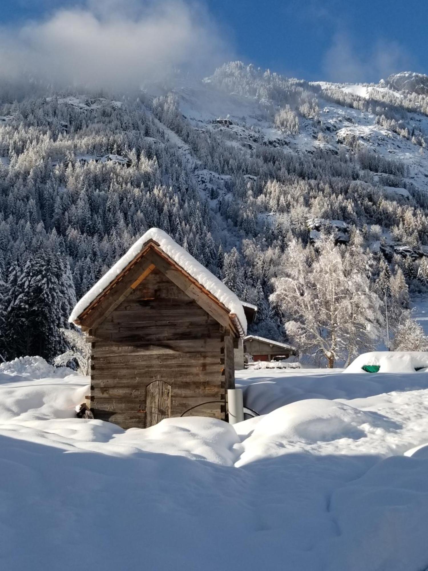 Chalet Walser A Vallorcine 13 Kms Chamonix France エクステリア 写真